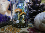 Load image into Gallery viewer, Terrarium pendant with mushrooms
