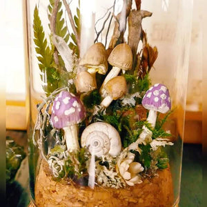 Magic mushroom Terrarium