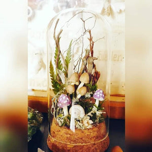 Magic mushroom terrarium