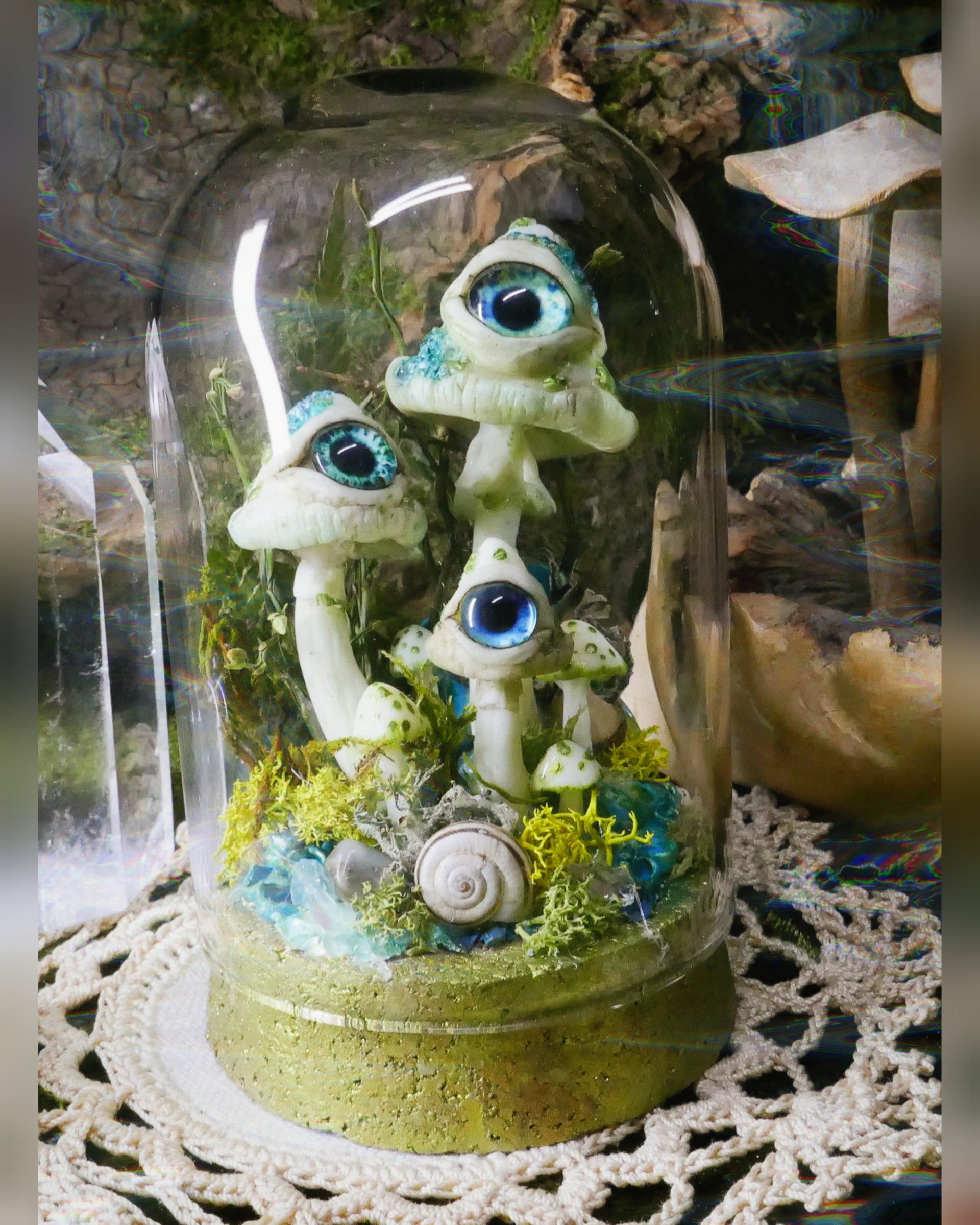 Magic mushroom Terrarium