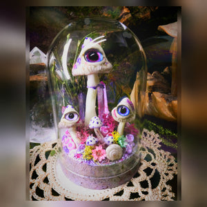 Magic mushroom terrarium