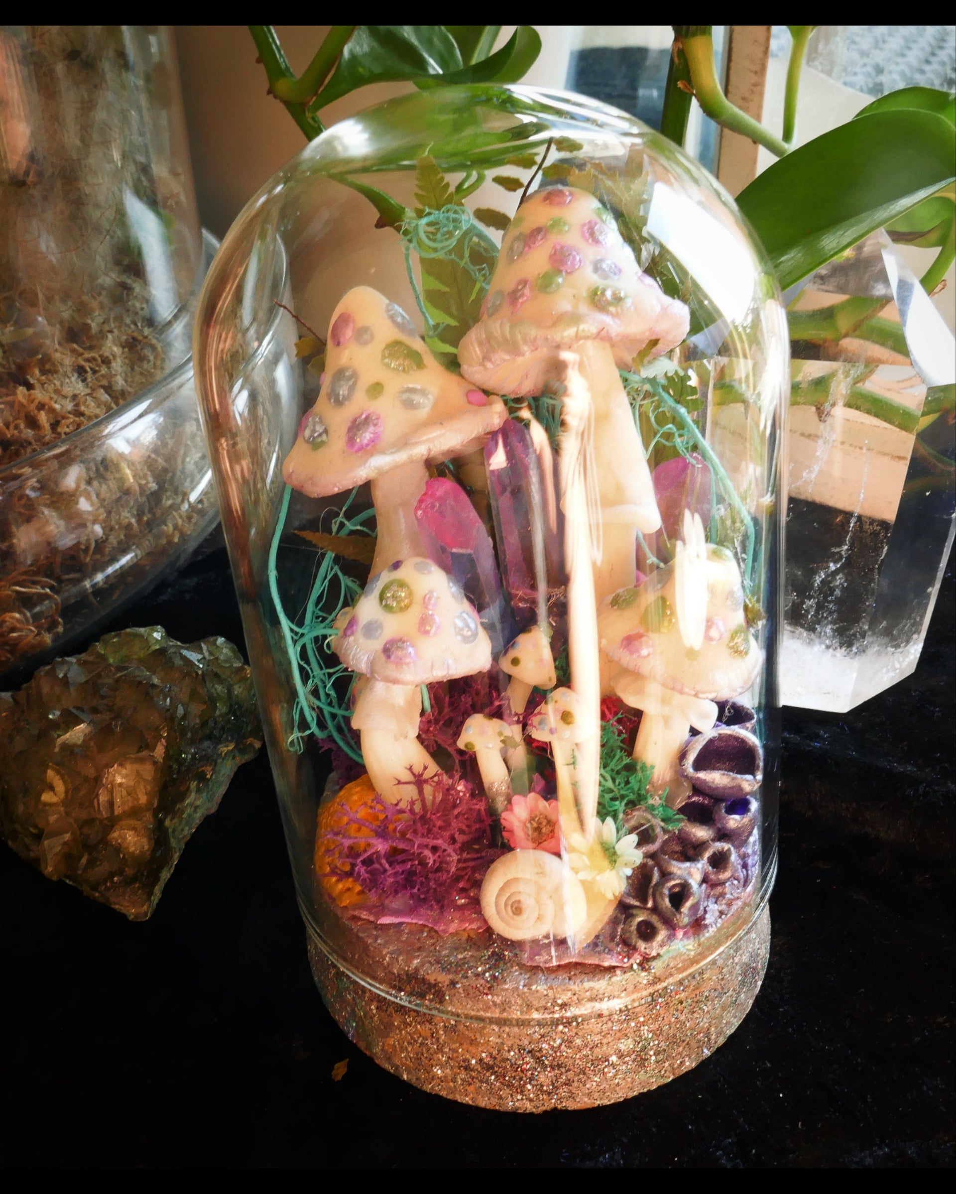 Magic mushroom Terrarium